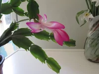 IMG_16802222.JPG