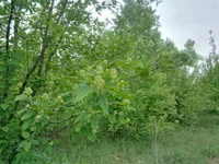 IMG_20180512_132102_hdr.webp