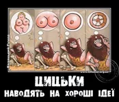 .webp