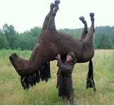 .webp