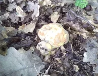 IMG_20180519_124745.webp