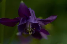 DSC_0193.webp