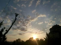 image.webp