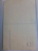 13.webp