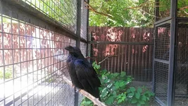 IMG_20180525_215303.jpg