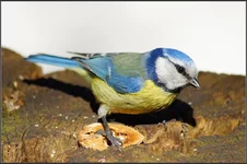 DSC02391.webp