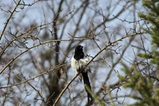 IMG_0889.jpg