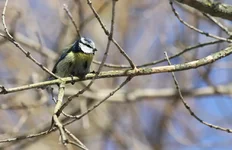 IMG_1014.jpg