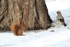 IMG_1084.webp
