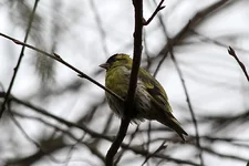 IMG_1587.jpg