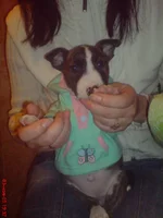 DSC00300.webp