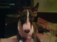 DSC00120.webp