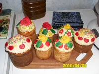 SAM_0336.webp