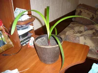 P1040459.webp
