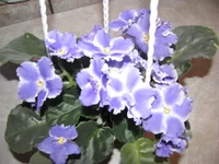 014.webp