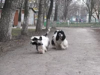  685.webp