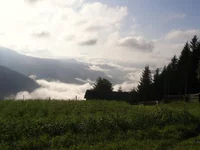 P8080275.webp