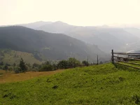 P8020151.webp