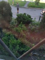 IMG_2018-05-27_102124_HDR.jpg