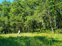 photo_2018-05-28_18-37-57.webp