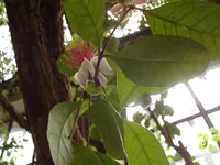 DSC09265.jpg