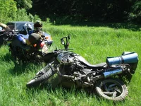 DSC04494.webp