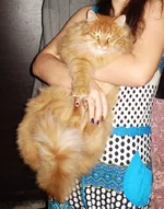 DSC00174_cr.webp