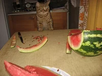IMG_5143.webp