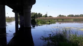 20180602_122423.webp