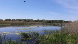 20180602_122416.webp
