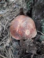 20180603_075756.jpg