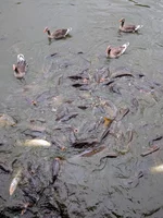 2018-06-03 11.51.21.webp