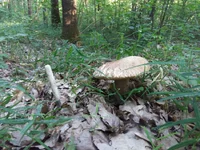 20180605_063710.png