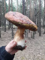 20180606_083648.jpg