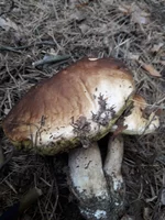 20180606_091907.jpg