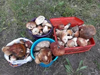20180606_130217.jpg