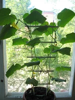 IMG_0465.jpg
