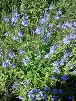 IMG_20180610_135212.webp