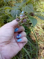 IMG_20180610_131355.webp