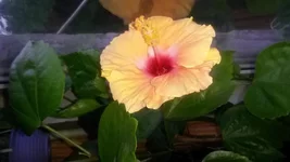 20180603_195733[1].webp