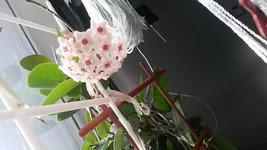 20180521_183655[1].webp