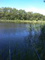 IMG_20180610_083039.webp