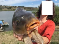  айфон 6 1174.webp