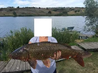  айфон 6 1176.webp