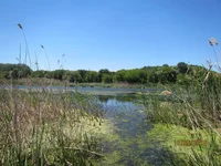IMG_0001.webp