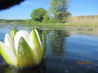 IMG_0037.jpg