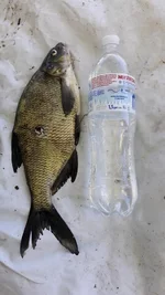 20180610_173239.jpg