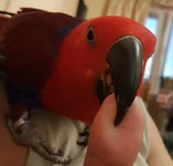 20180612_184852.webp