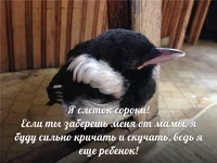 7hYNPXLQf7Y.webp