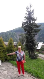 20170806_121619.webp